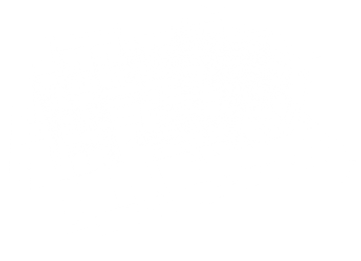 house-wire-model-fade-white
